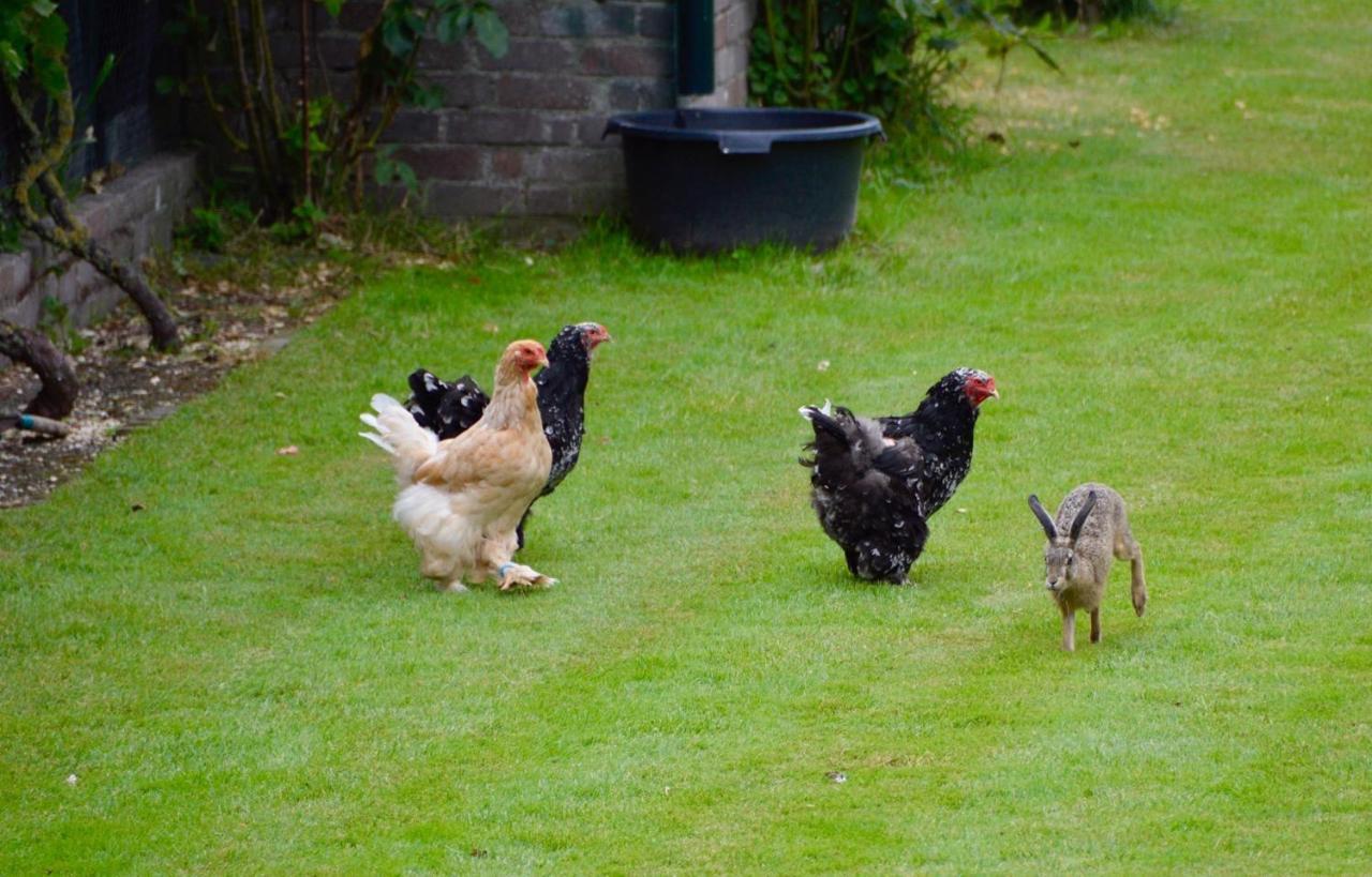 Het Melkhuis Op Prachtig Landgoed Koepeltjesplaats Gaast Exterior foto