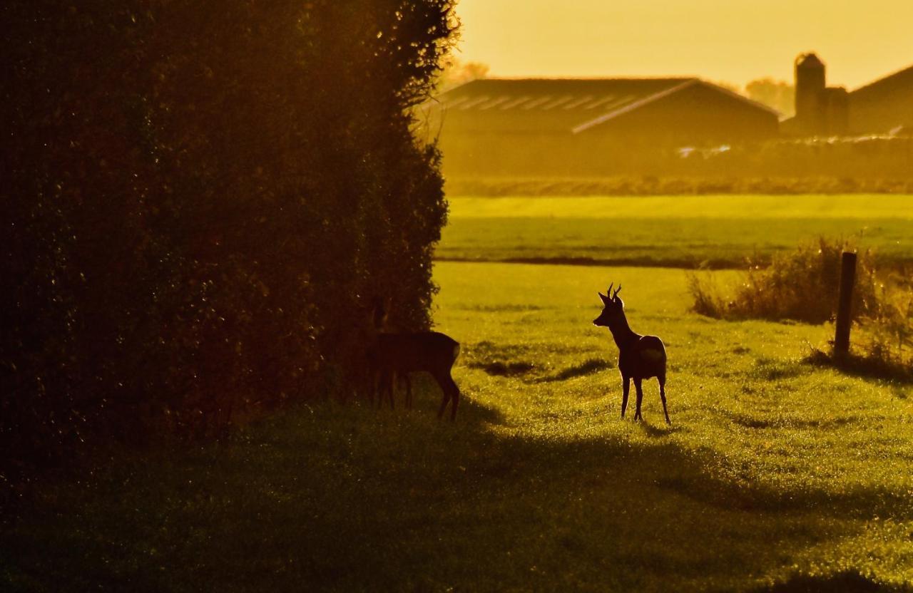 Het Melkhuis Op Prachtig Landgoed Koepeltjesplaats Gaast Exterior foto