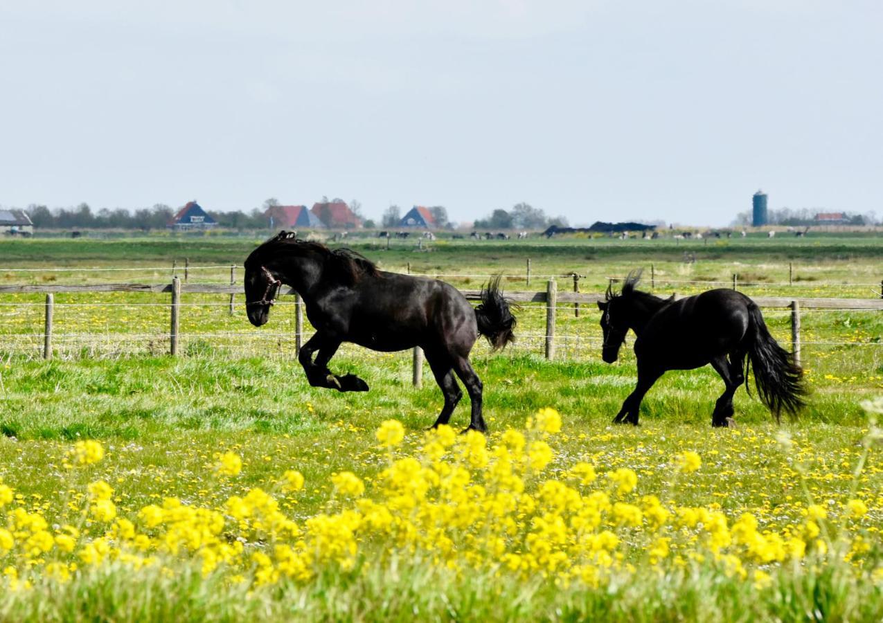 Het Melkhuis Op Prachtig Landgoed Koepeltjesplaats Gaast Exterior foto
